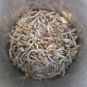 Thé Earl Grey (100g) - Chocolatier Pâtissier Maison Carli Depuis 1948