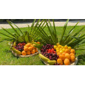 Corbeille de fruits de saison - Maison Carli Traiteur à Nantes