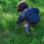 la chasse aux œufs dans le parc du manoir du Petit Plessis